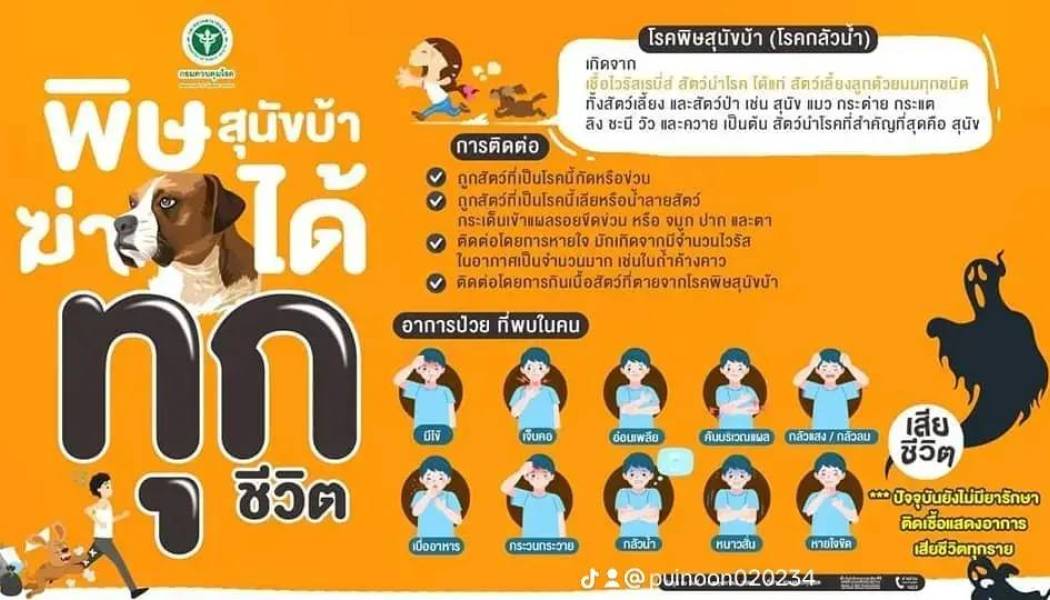 ประชาสัมพันธ์การป้องกันโรคพิษสุนัขบ้า